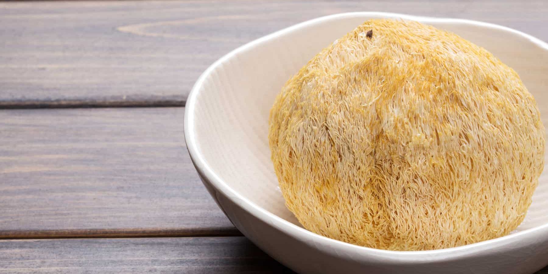 The Benefits of Lion’s Mane Mushroom