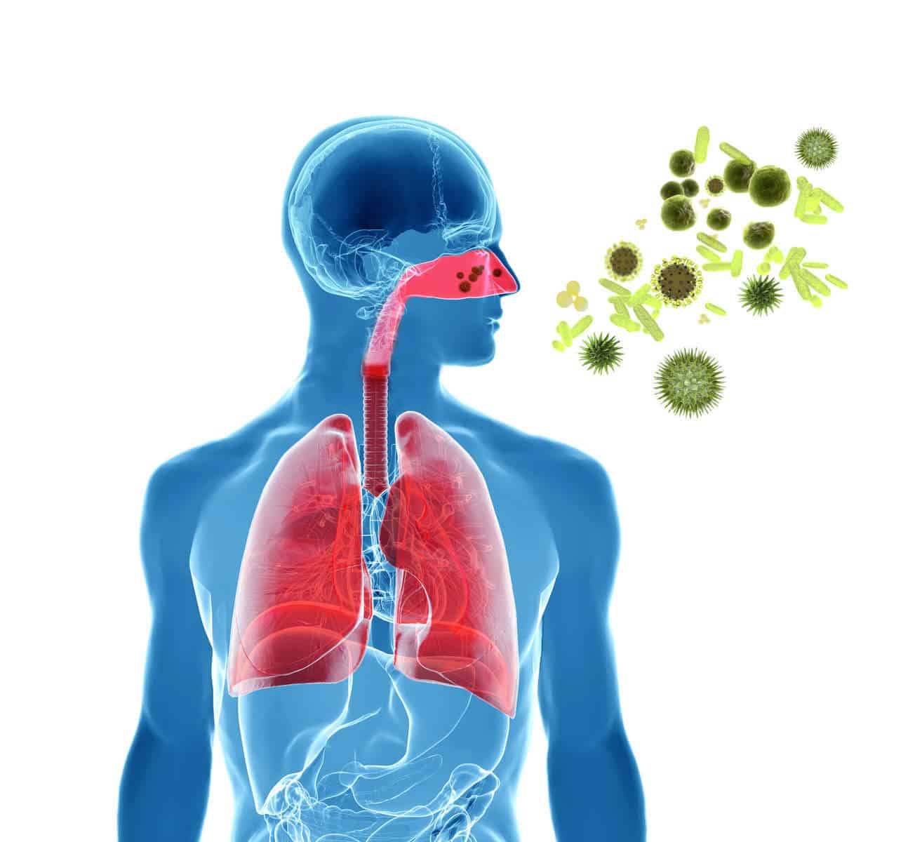 Bacterial infection