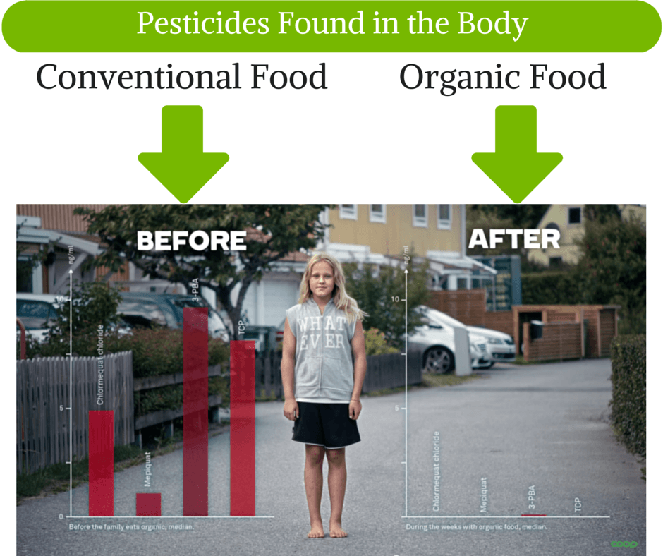 Conventional Food Pesticides in the Body