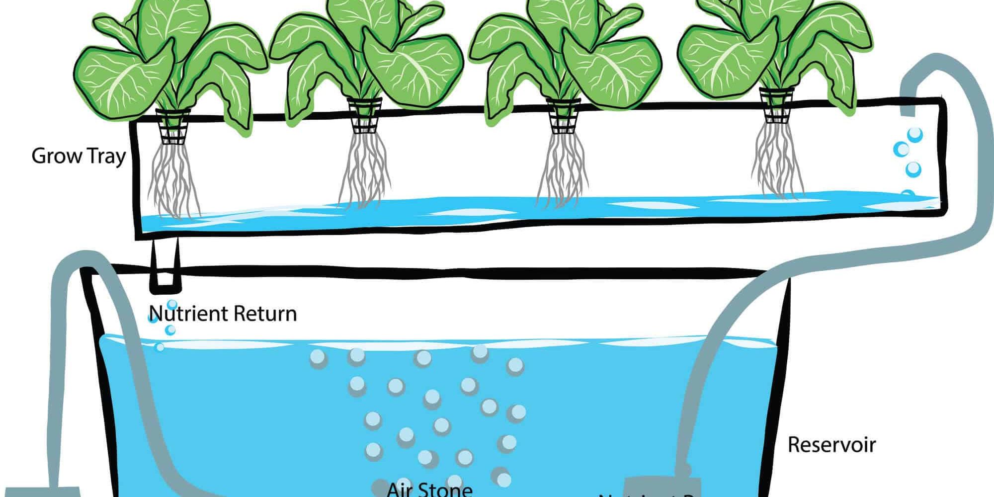Aquaponic Grow Kits