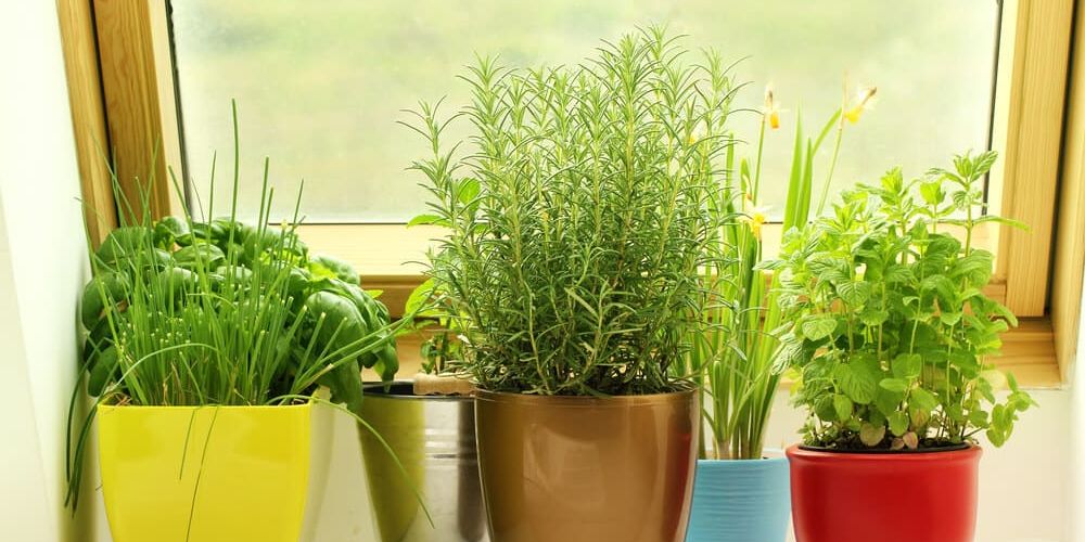 30 DIY Indoor Herb Garden Ideas
