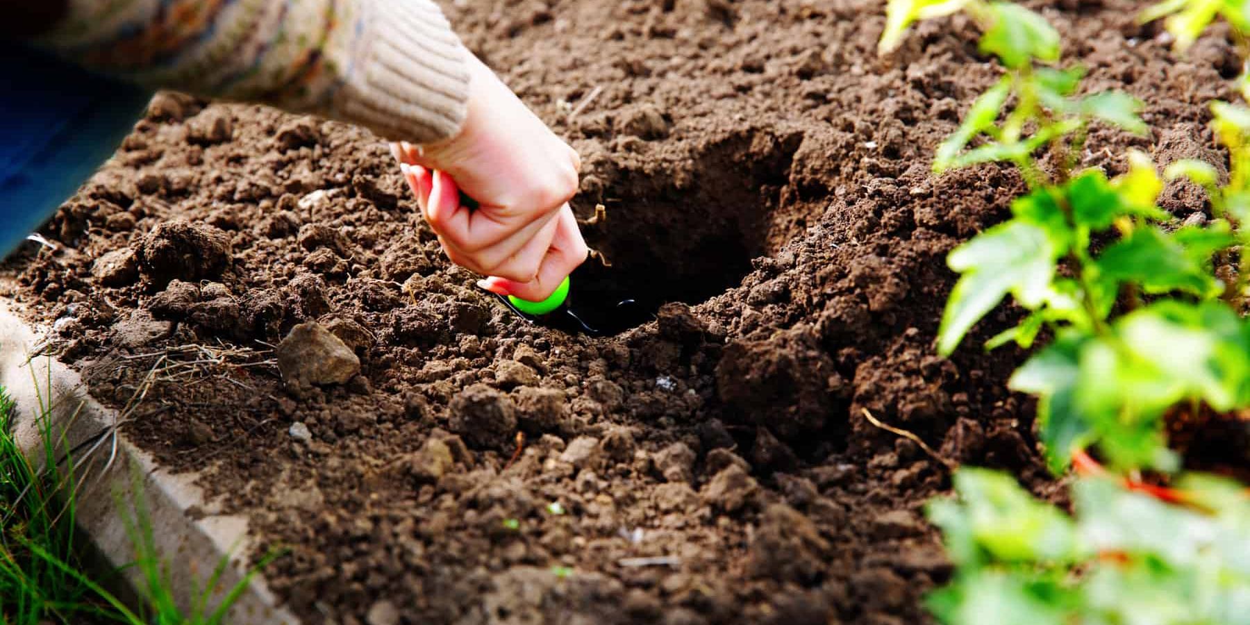 Choosing the Best Hori Hori Knife for Gardeners