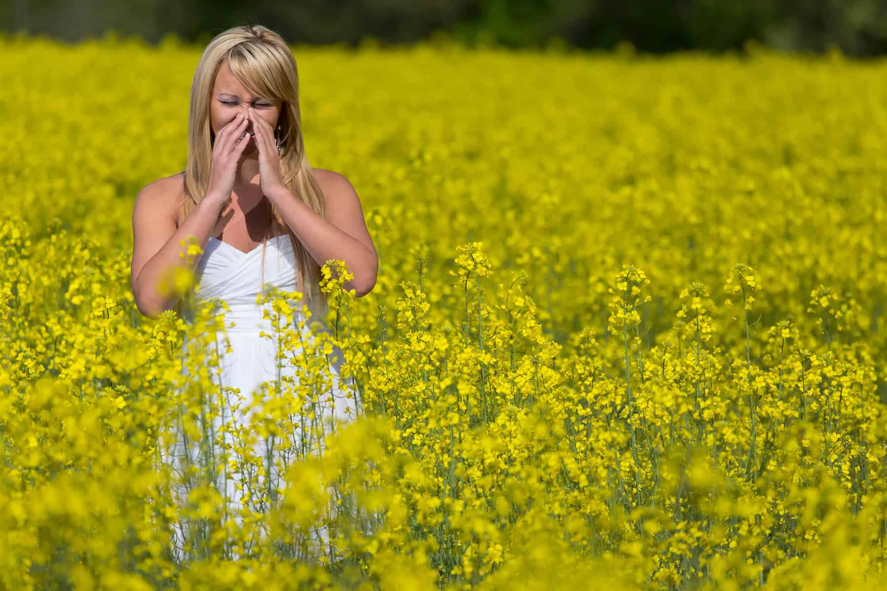 Sinus or allergy relief