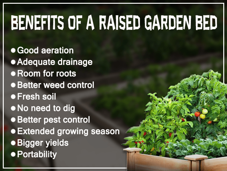 Benefits of a Raised Garden Bed