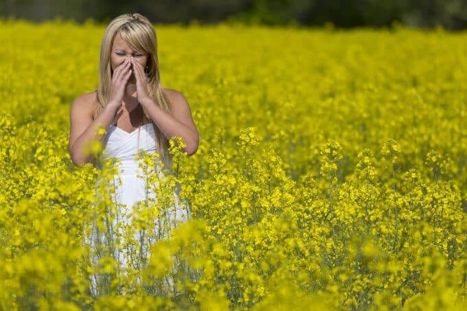 Sinus or allergy relief