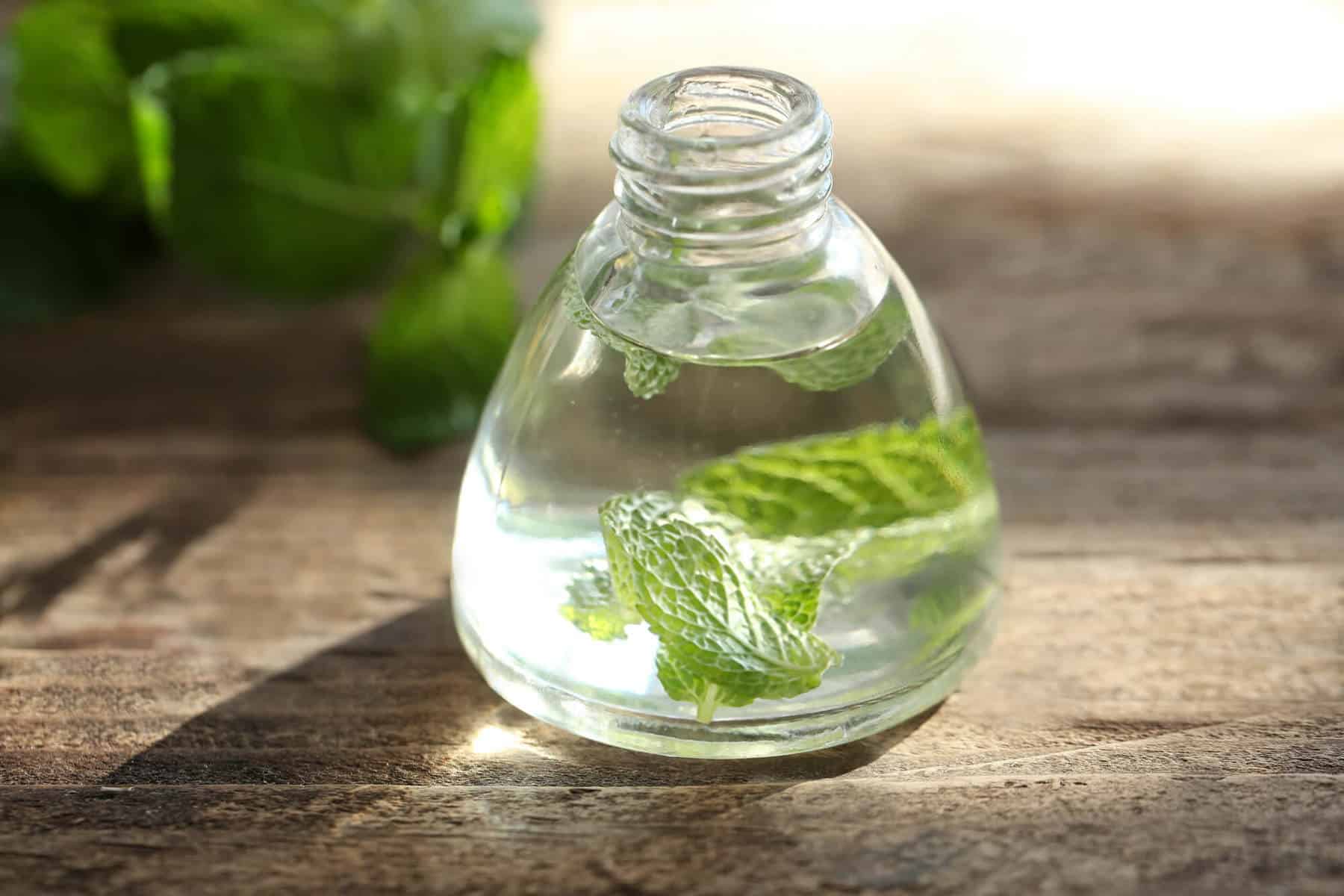 Spearmint Essential Oil