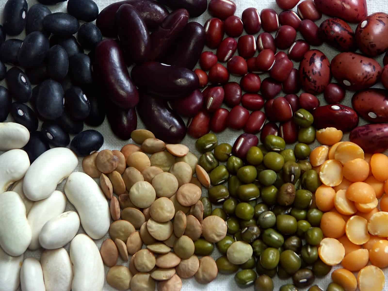 Eight kinds of beans/legumes