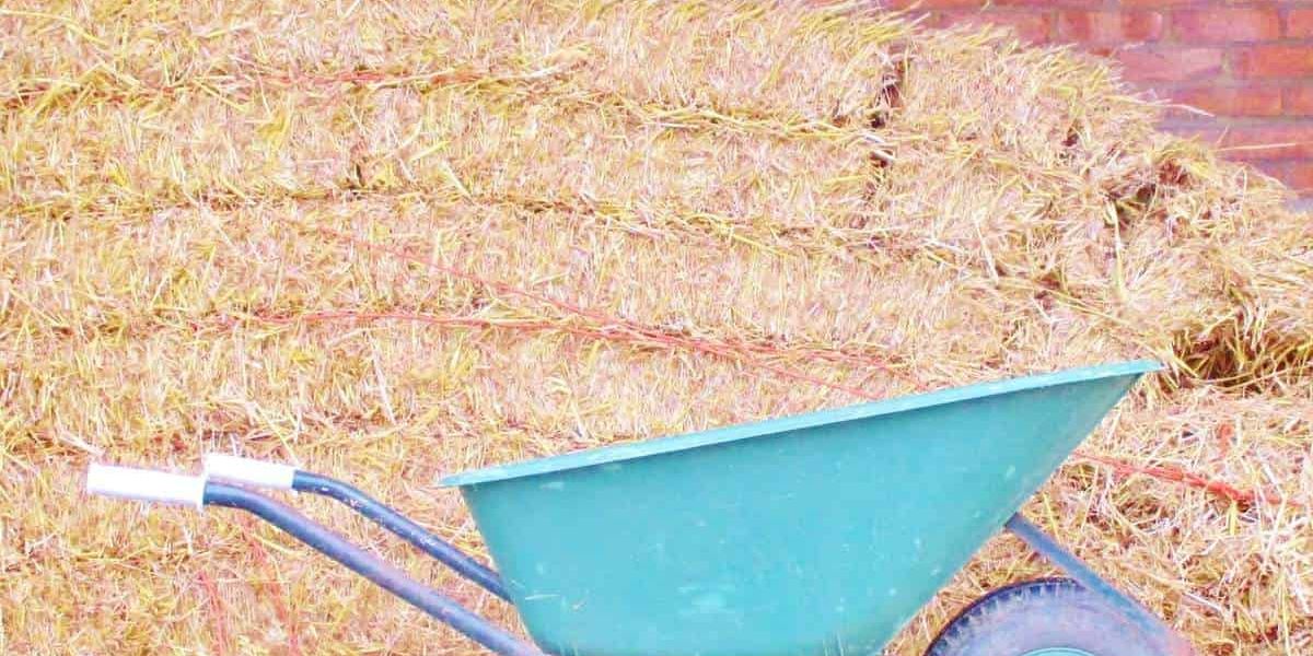 hay bale gardening