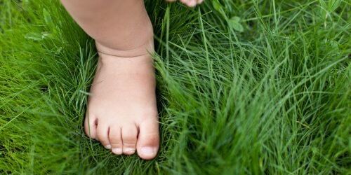 baby feet in grass