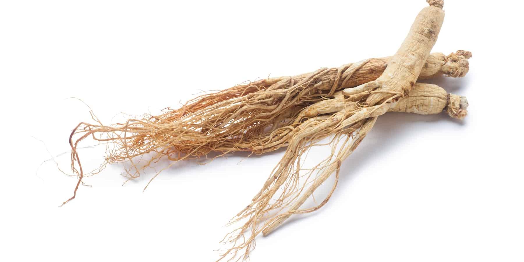 Choosing the Best Ginseng Supplement