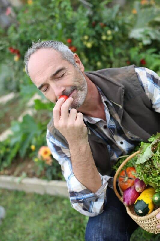 Man in garden smelling vegetable aromas