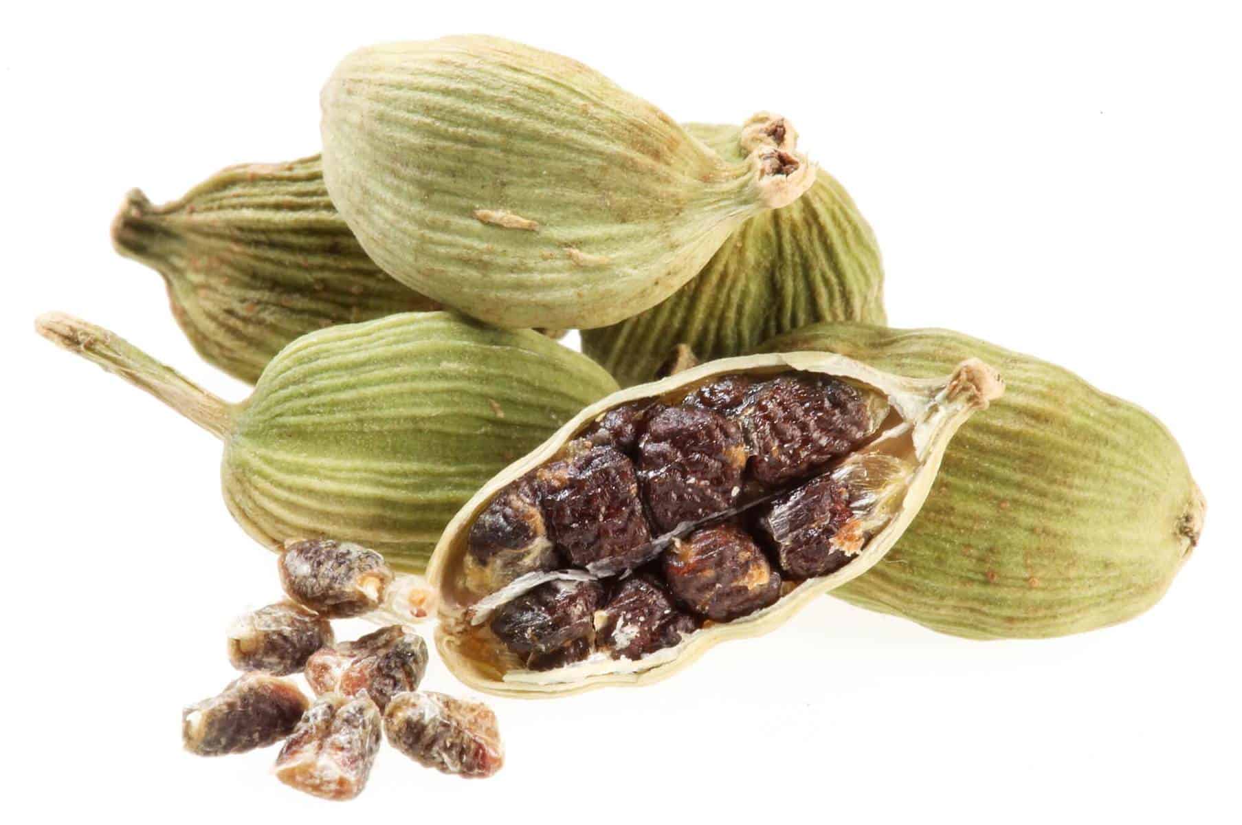 Cardamom Essential Oil