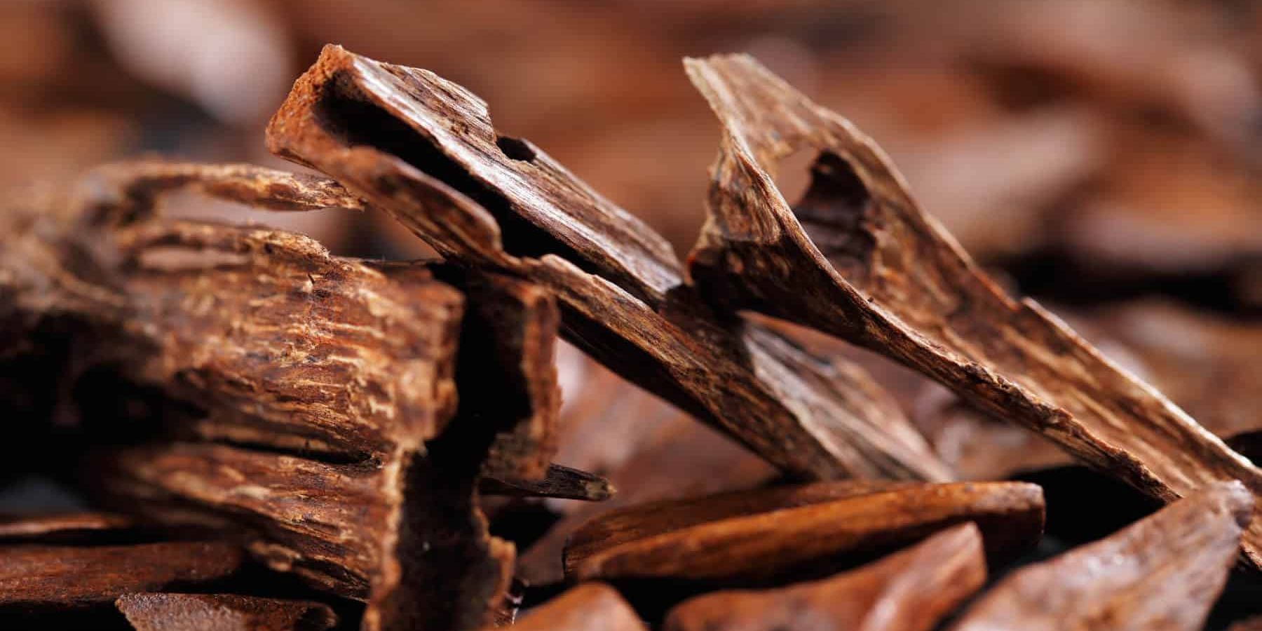 Sandalwood Essential Oil