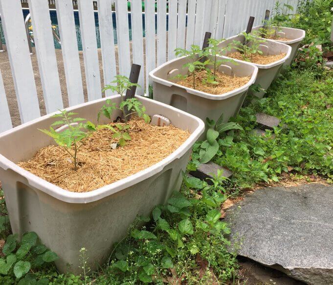 Earth Boxes