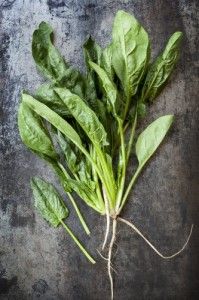 spinach