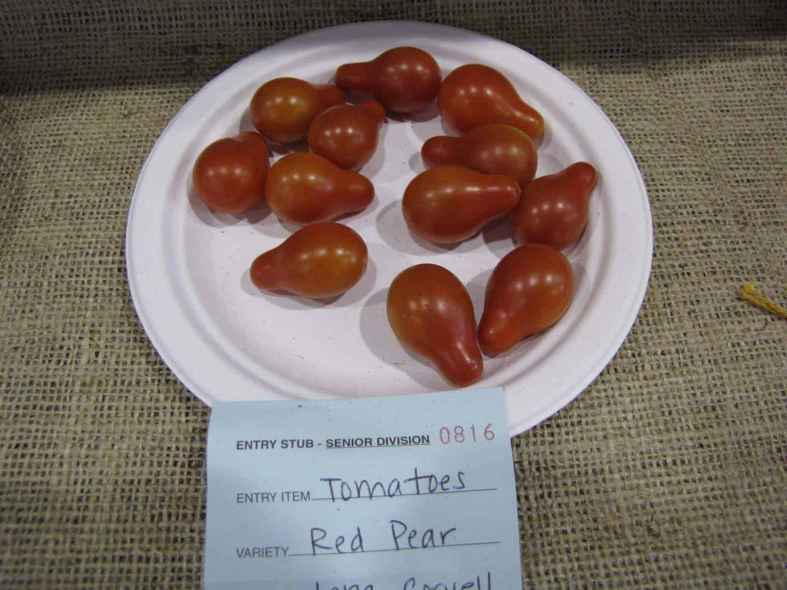 Italian Red Pear tomatoes