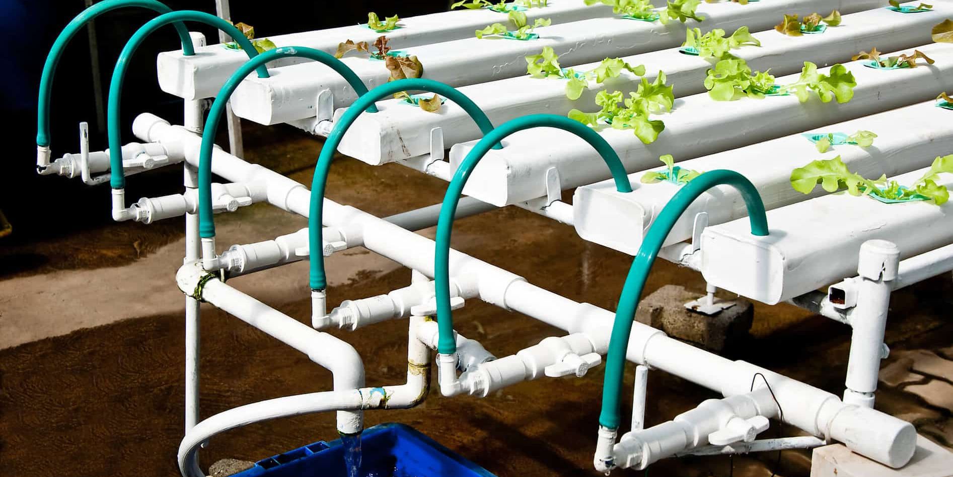 Hydroponic kits