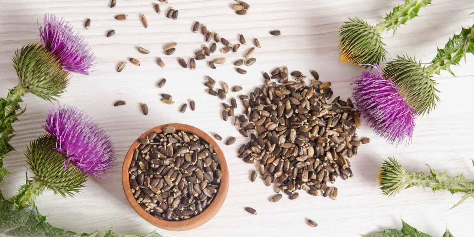 Best Milk Thistle Supplement