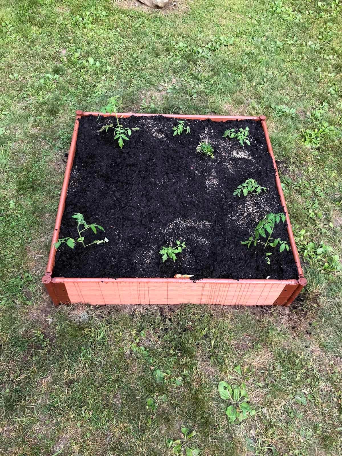 Frame It All Raised Garden Bed