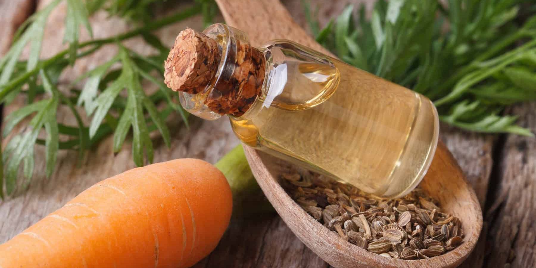 Carrot Seed Essential Oil