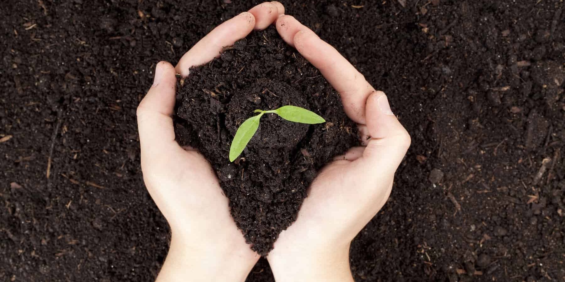 How to Choose the Best Composter