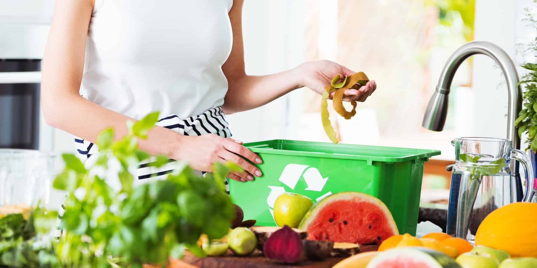 How to Choose the Best Kitchen Composter