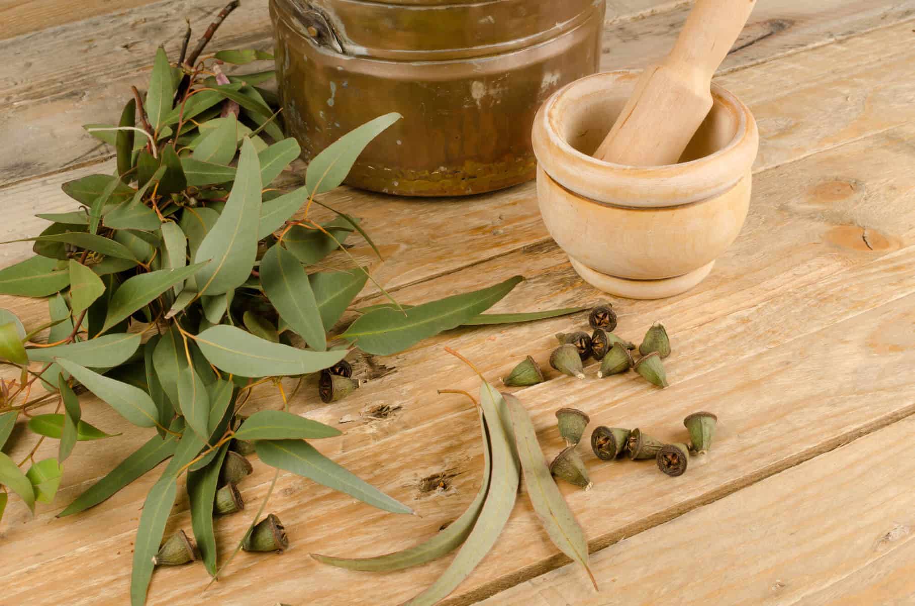 Eucalyptus essential oil