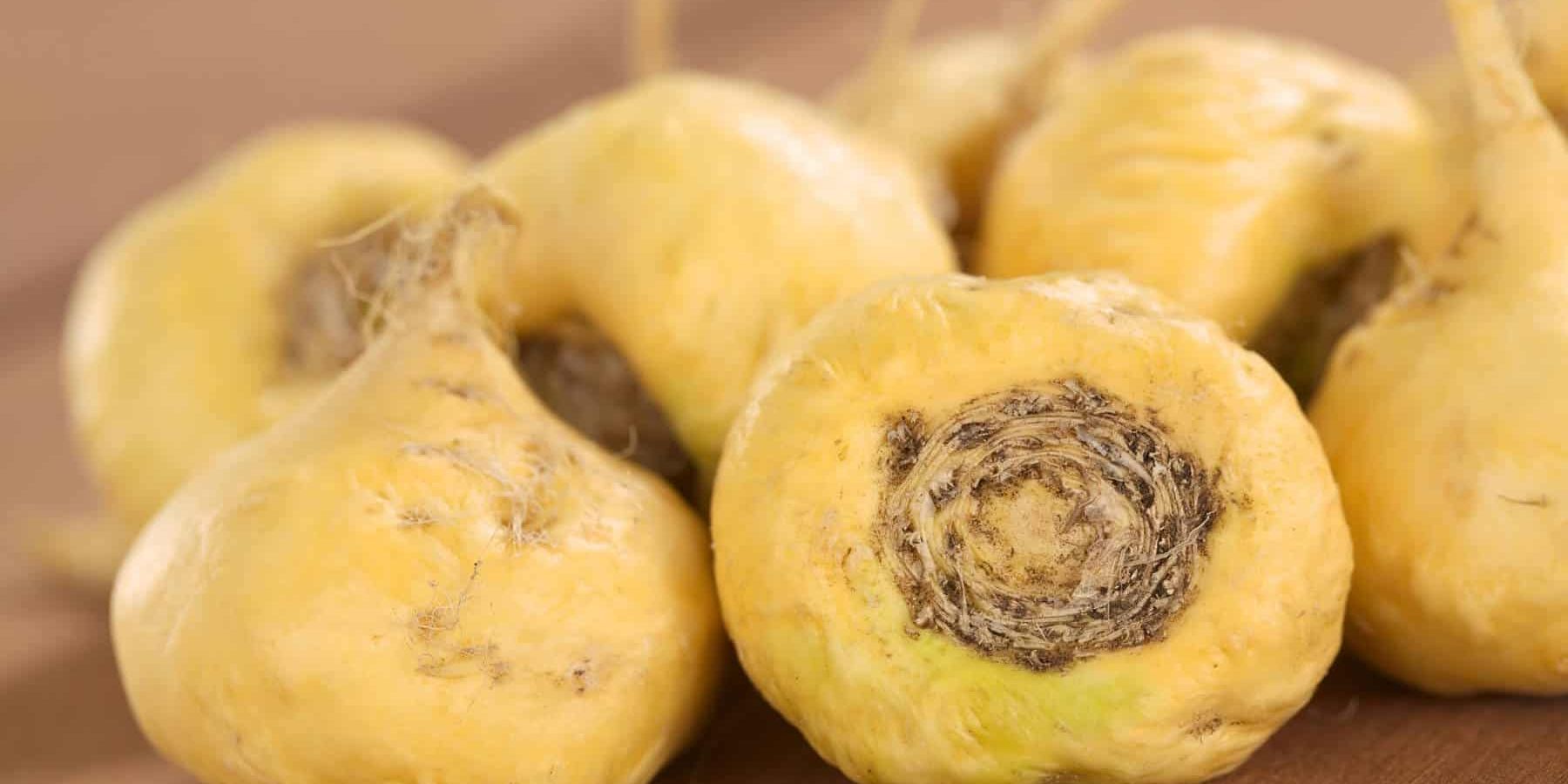 Maca Roots