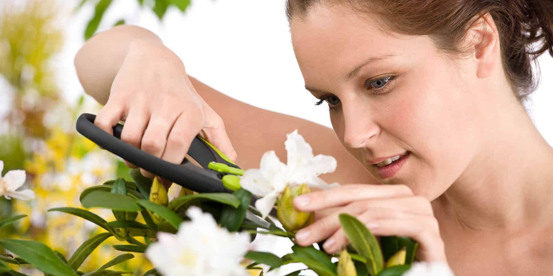 Best Pruning Gear for Backyard Gardeners