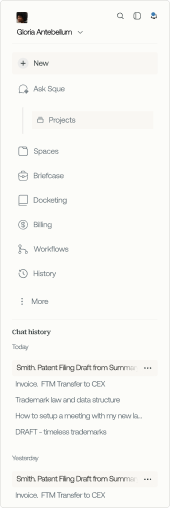 Sidebar interface with navigation and chat history