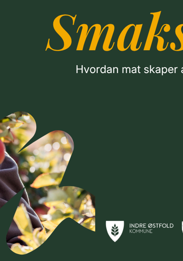 Smakskraft universell utformet