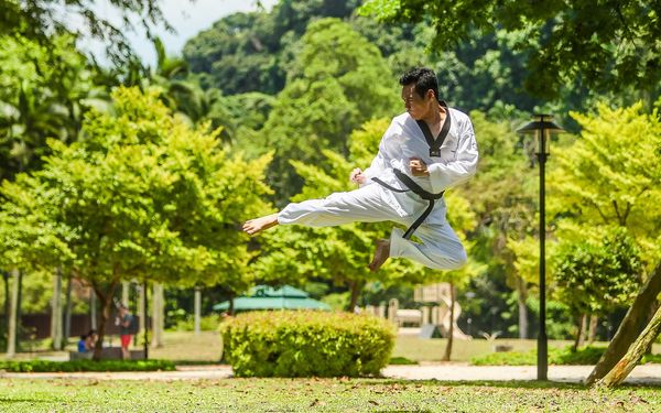 Tae-kwon-do