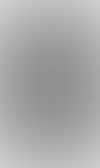 450W premium glass/glass panel