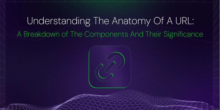 Understanding The Anatomy Of A URL: A Breakdown of The Components And Their Significance