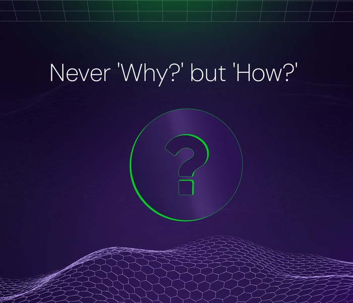 Banner image of the blog post Never 'Why?' but 'How?'