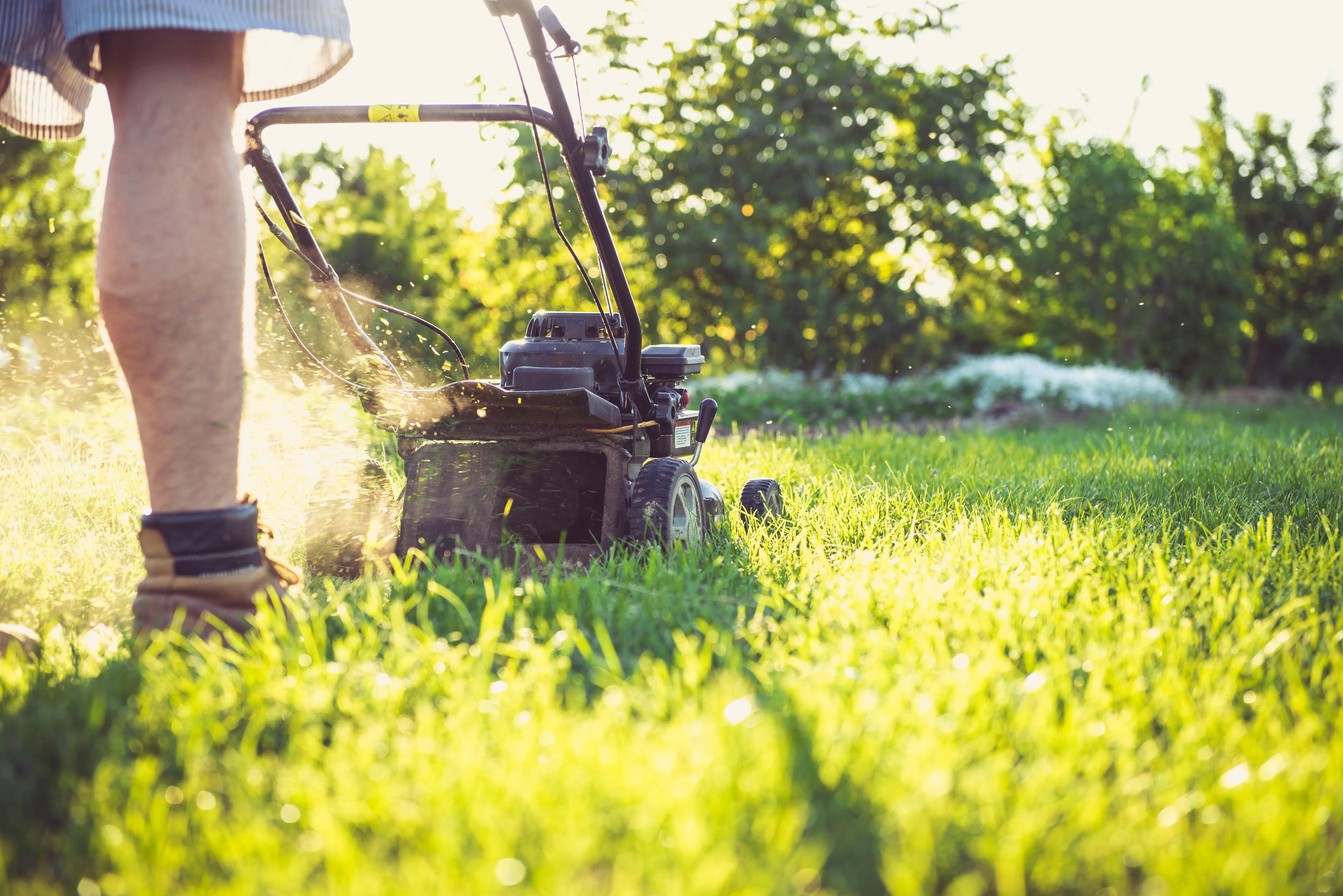 Lawn Care
