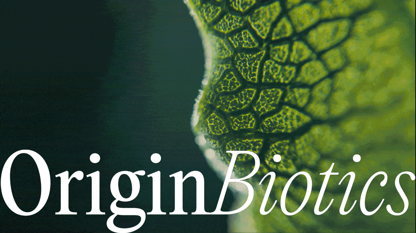OriginBiotics: Owlsome Studio's Branding and Packaging for a Probiotic Supplement