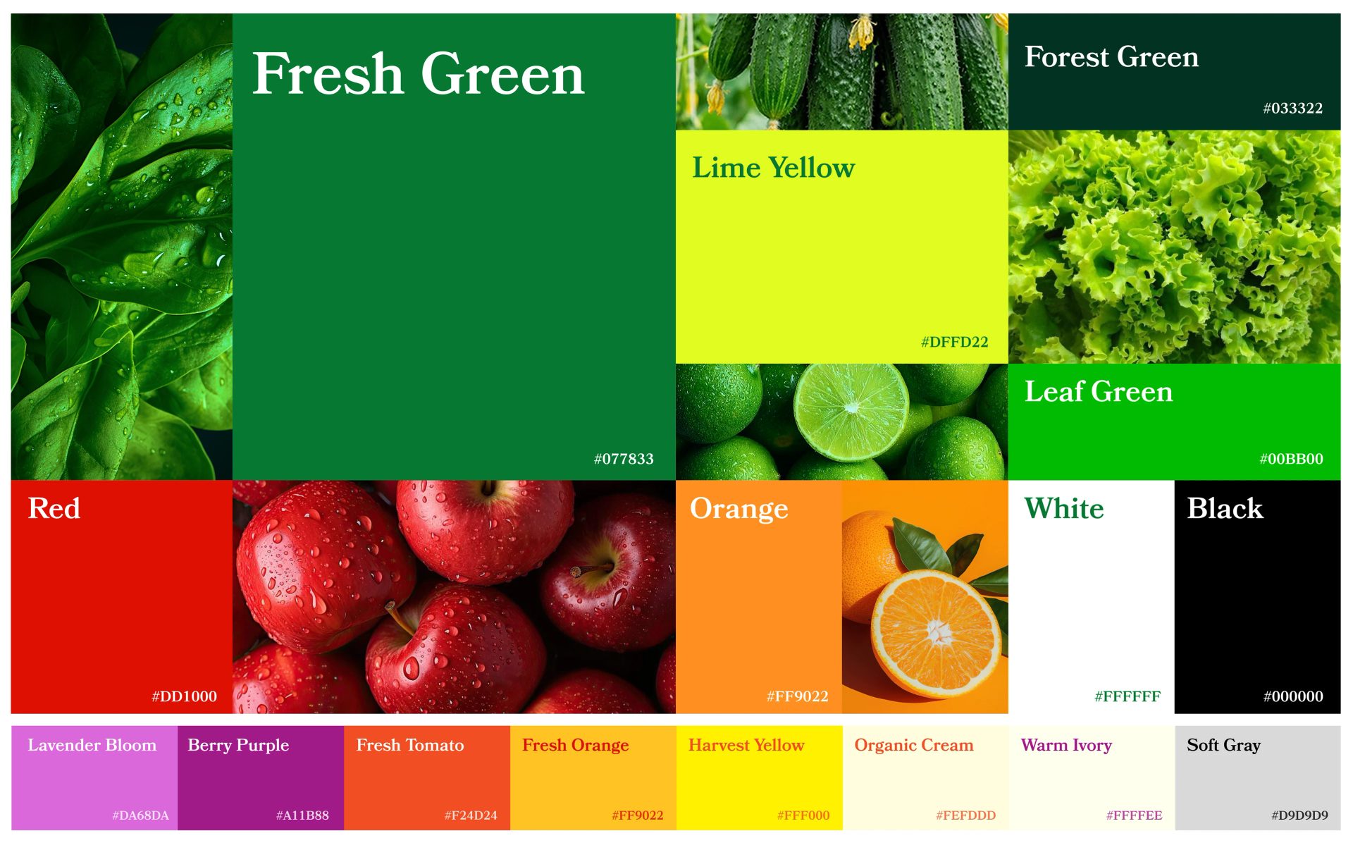 Organic Food & Grocery Brand Identity — Tamim Islam, image 28