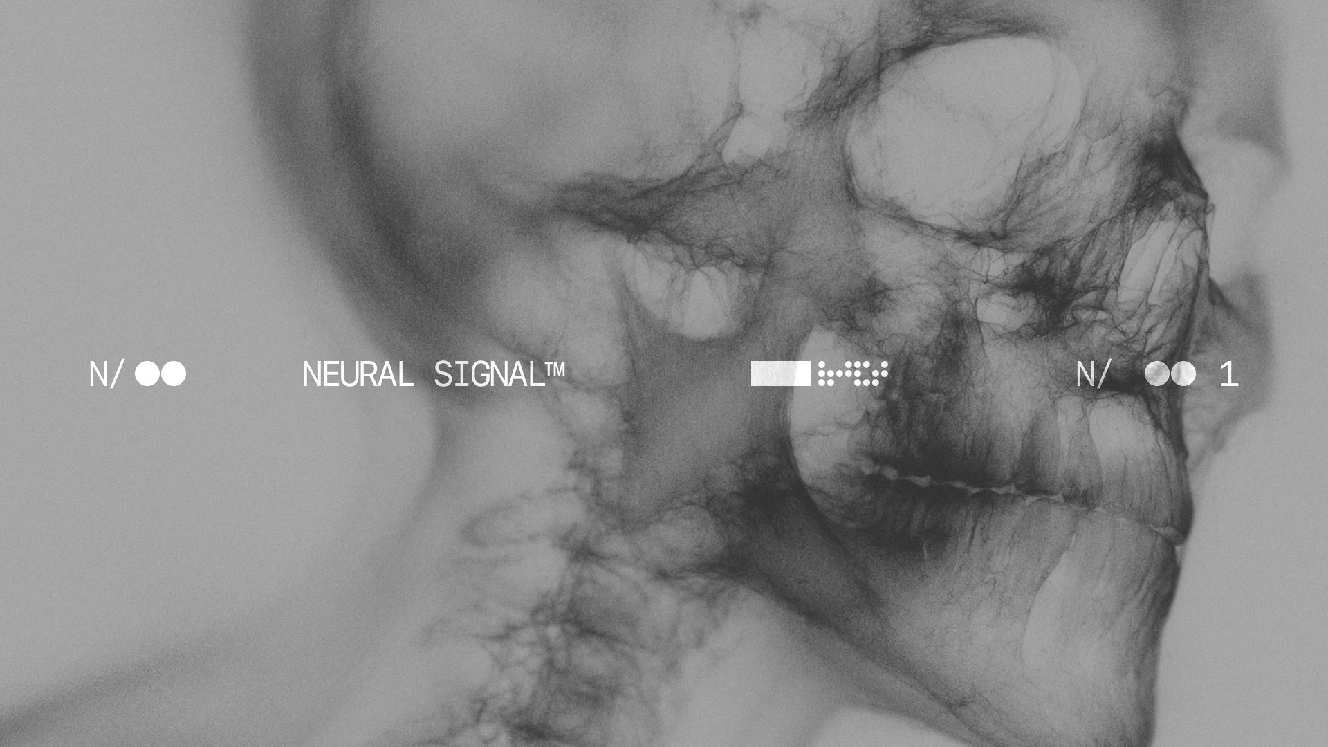 NORVEX — EGO® LAB, image 15