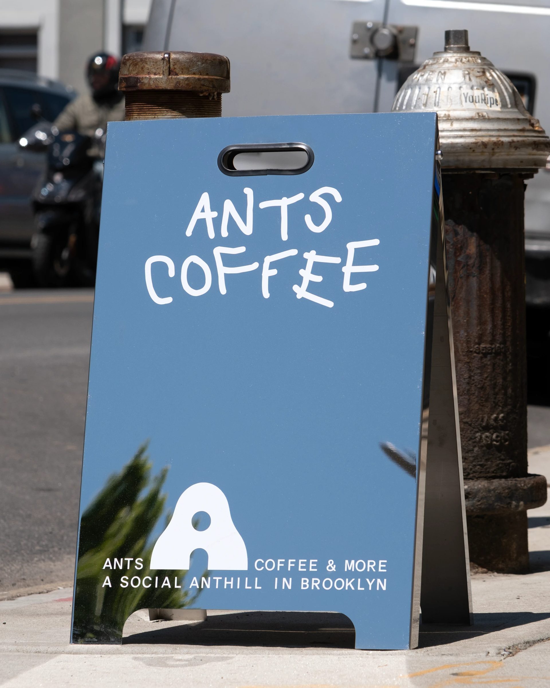 Ants — Tuman Studio, image 2