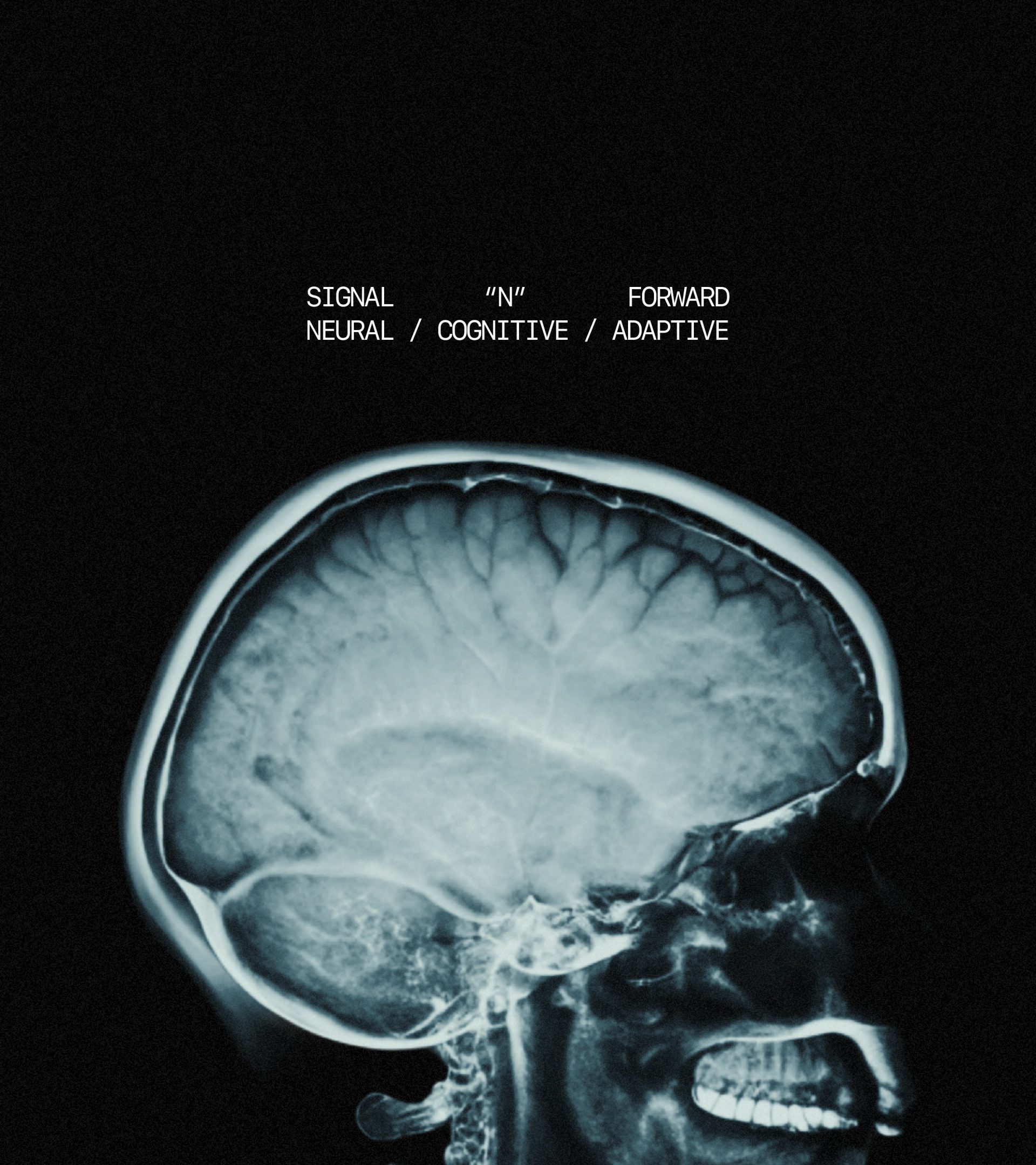 NORVEX — EGO® LAB, image 36