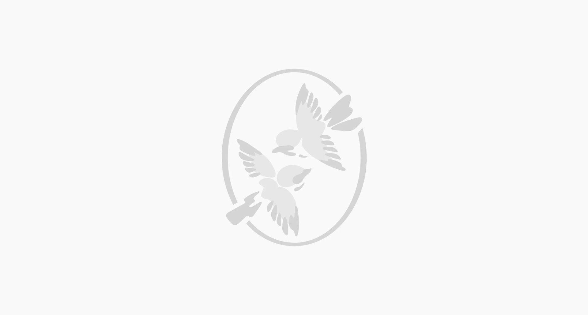 Light gray logo of two flying birds within an open oval outline, centered on a white background.