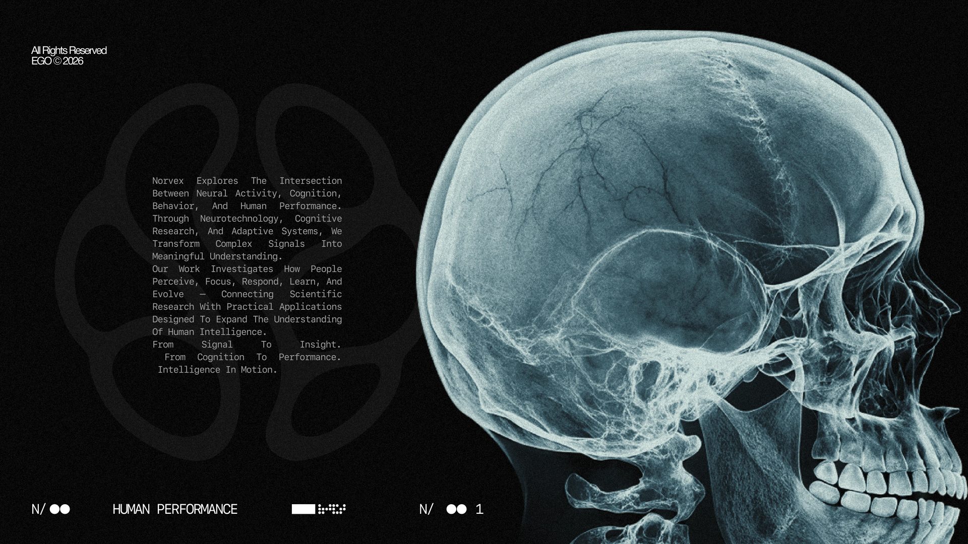NORVEX — EGO® LAB, image 11