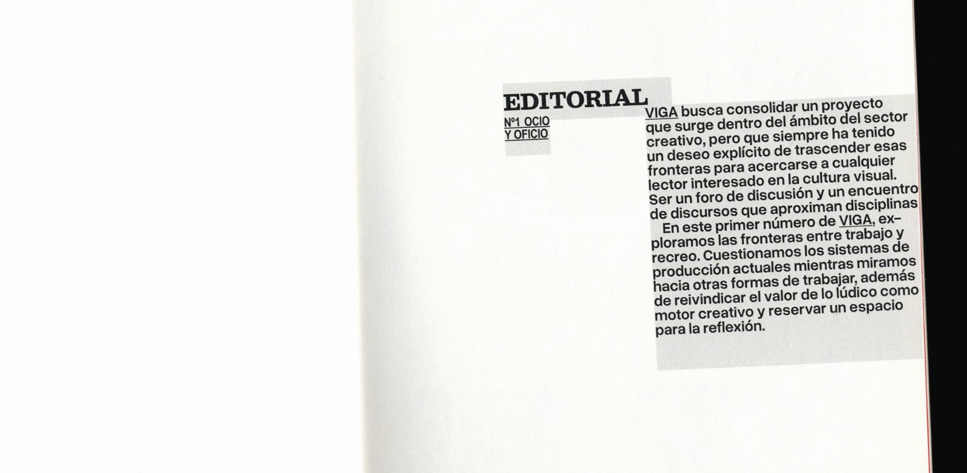 Viga Magazine | Editorial Design — Irene Agulló, image 4