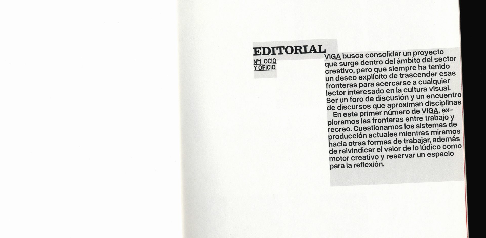 Viga Magazine | Editorial Design — Irene Agulló, image 4