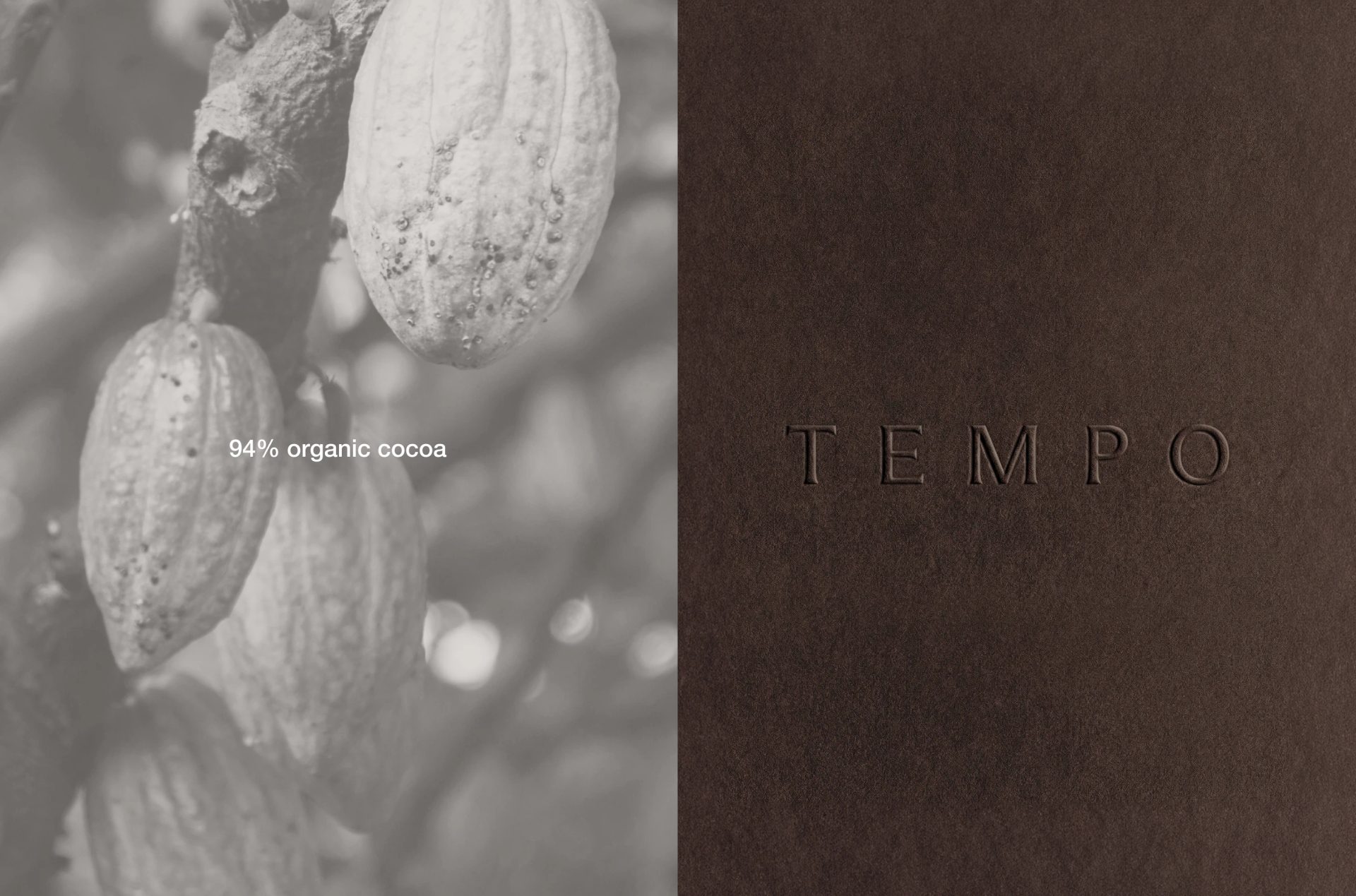 TEMPO | Brand Identity & Packaging Design — LYM DESIGN STUDIO, image 4