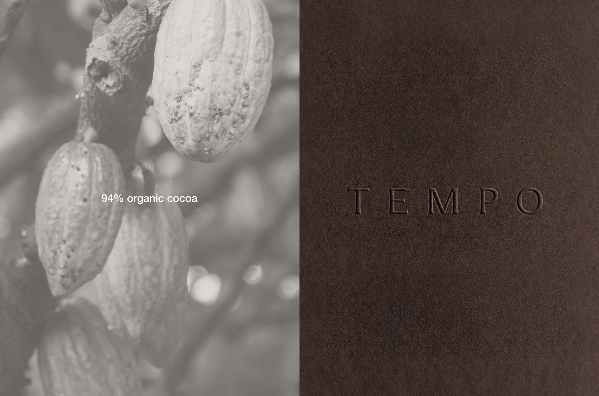 TEMPO | Brand Identity & Packaging Design — LYM DESIGN STUDIO, image 4
