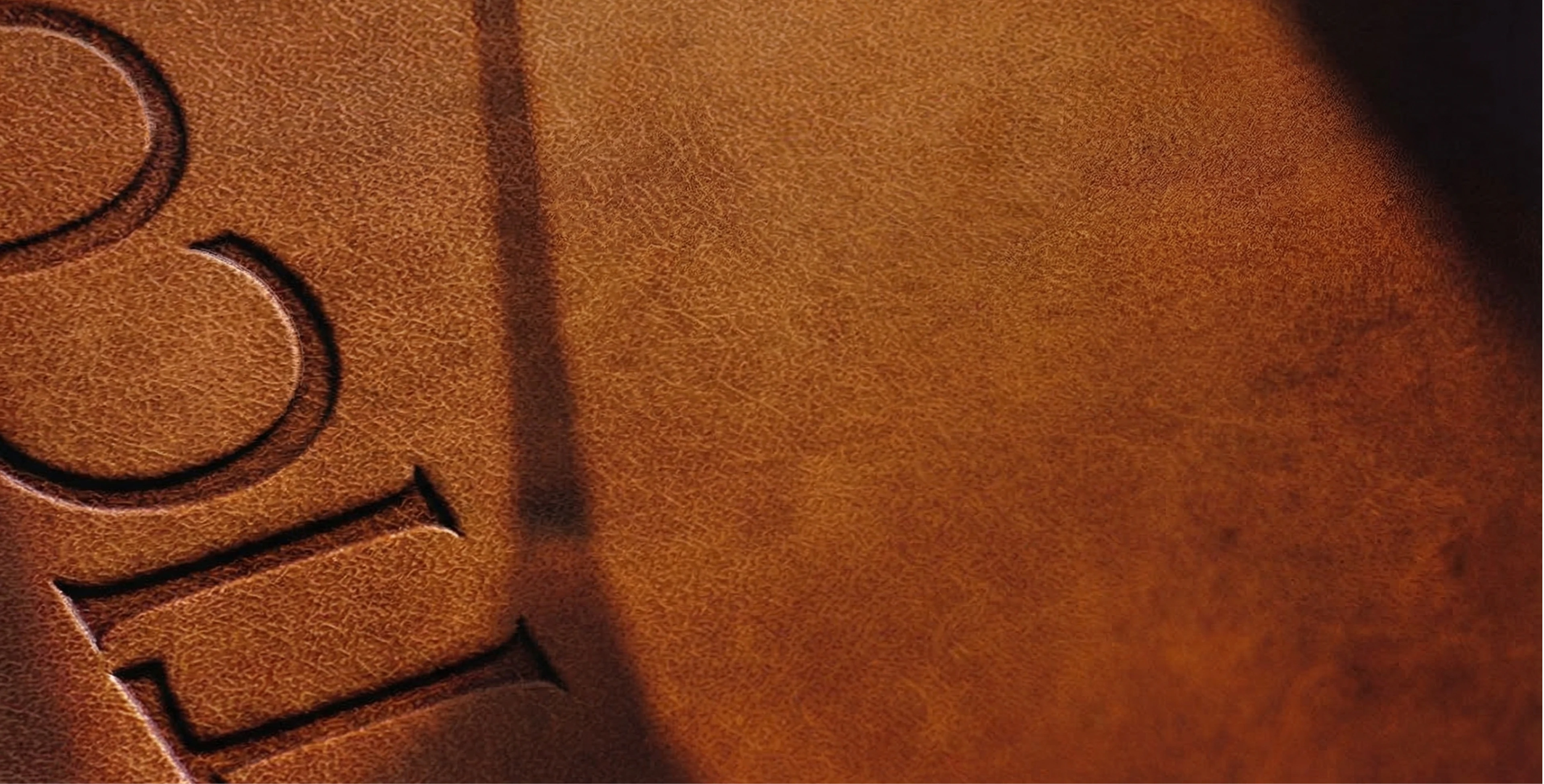 Rustico — Atla Branding Agency, image 5
