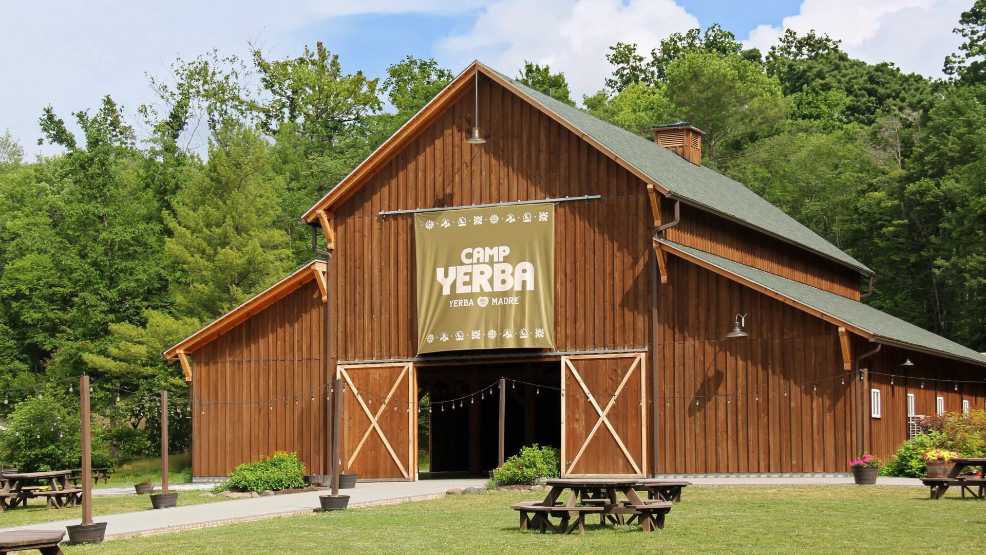 Yerba Madre - Camp Yerba — Forth+Back® Studio, image 2