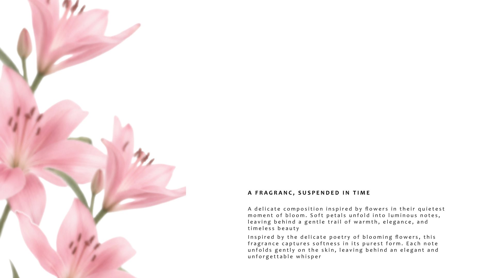 Serte Perfume Branding — Soofi Art Studio, image 7
